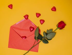 épouses en Christ, Comment sonder les cœurs apprendre à discerner les fruits