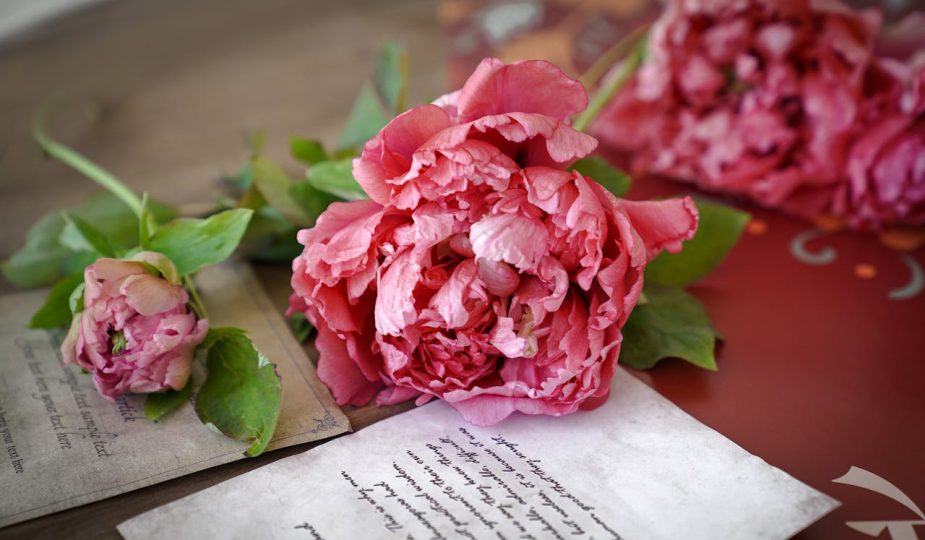 épouses en Christ, épouse en devenir comment guérir des blessures du passé